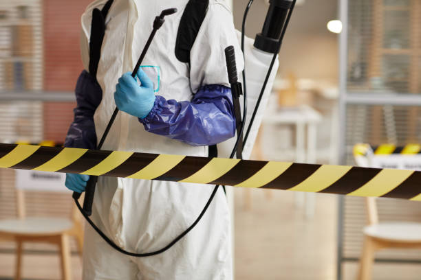 Professional Sewage Cleanup technician working in Dover, NH